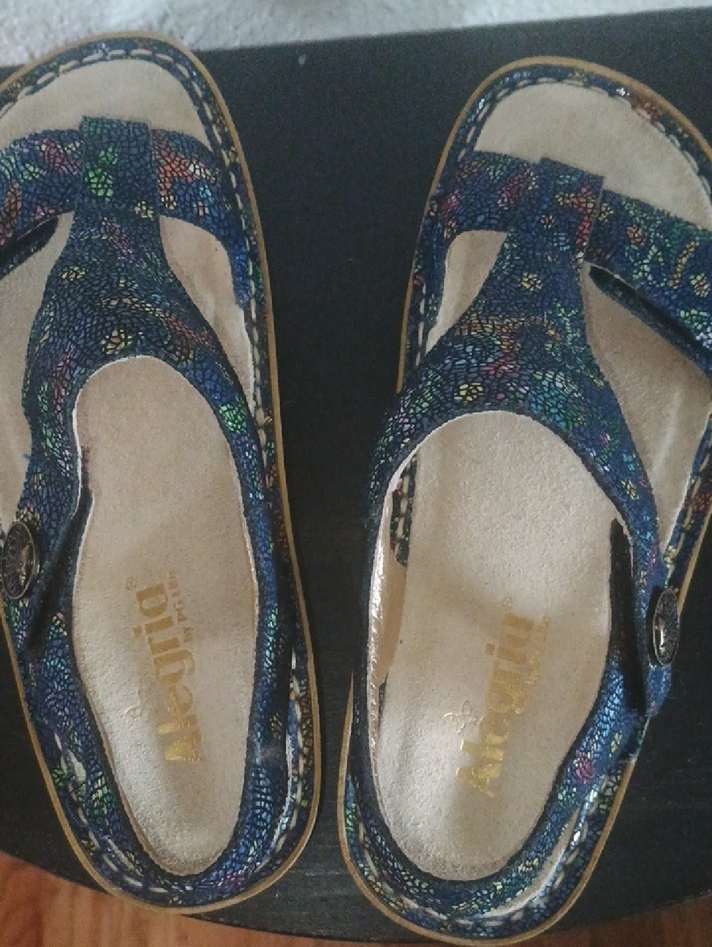 Alegria Navy Multi Floral Leather Sandals